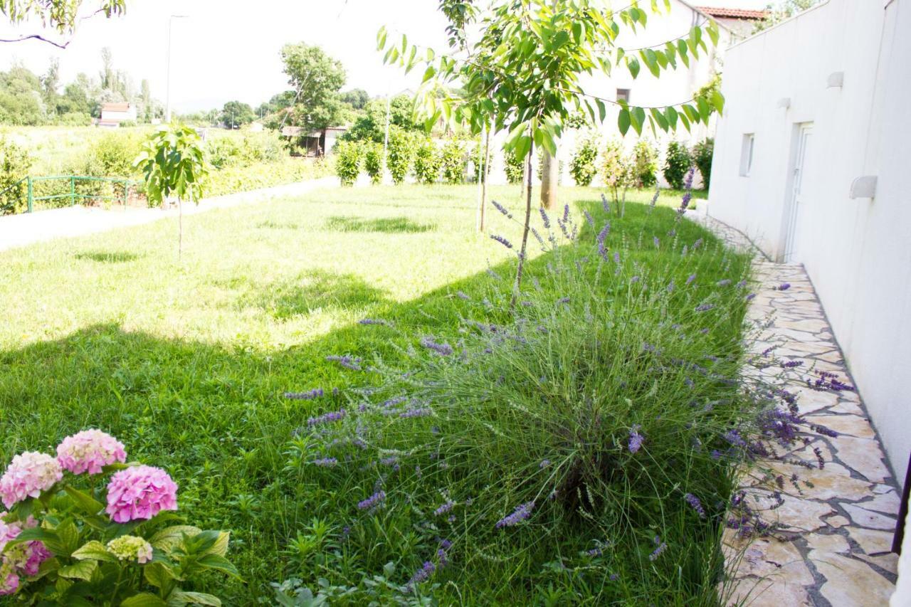Villa Fig Zmijavci Ngoại thất bức ảnh